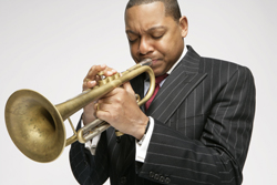 Book Jazz/Blues Artists for your Theatre or Special Event